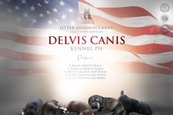 Delvis Canis Kennel PH